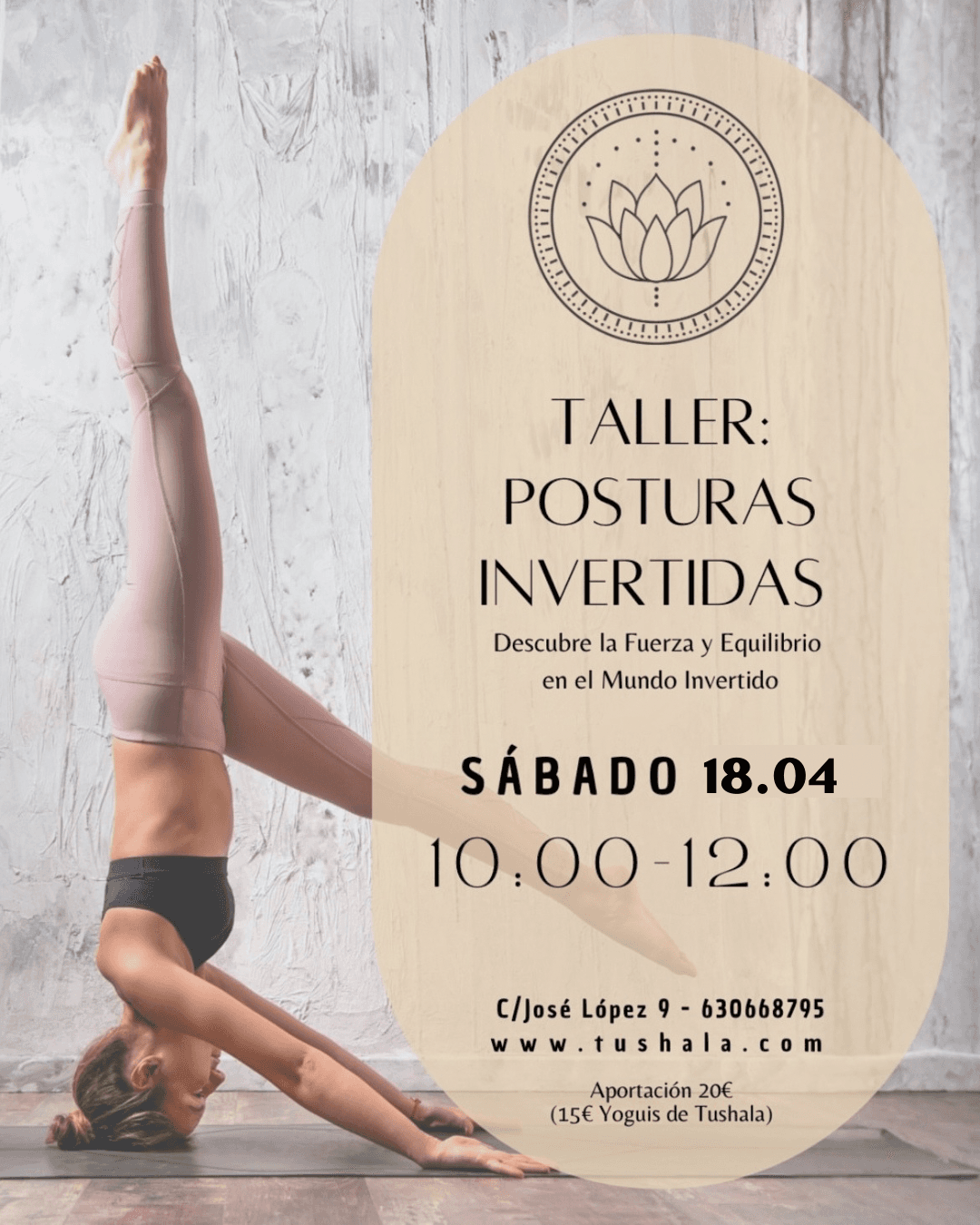 Taller de Posturas Invertidas 