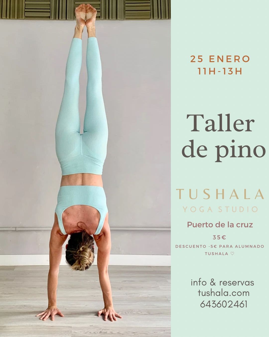 Taller de Pino